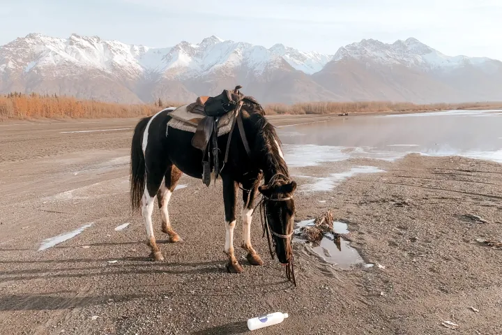 a person riding a horse on a beach