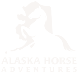 Alaska Horse Adventures