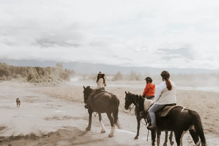 a group of people riding horses on a beach