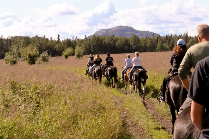 a man riding a horse in a field
