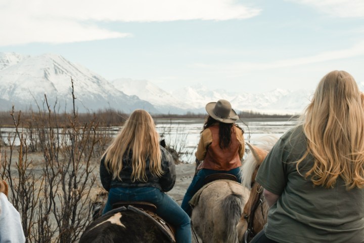 a group of people standing next to a horse