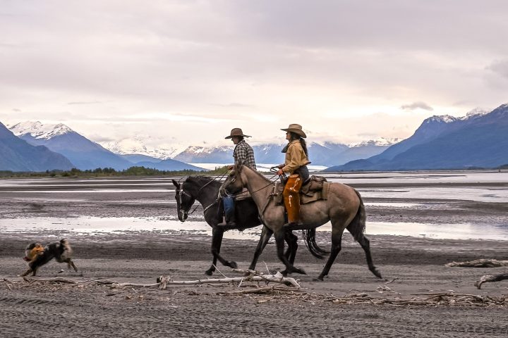 a group of people riding a horse on a beach