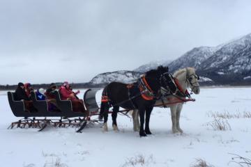 a horse pulling a carriage with people in the snow