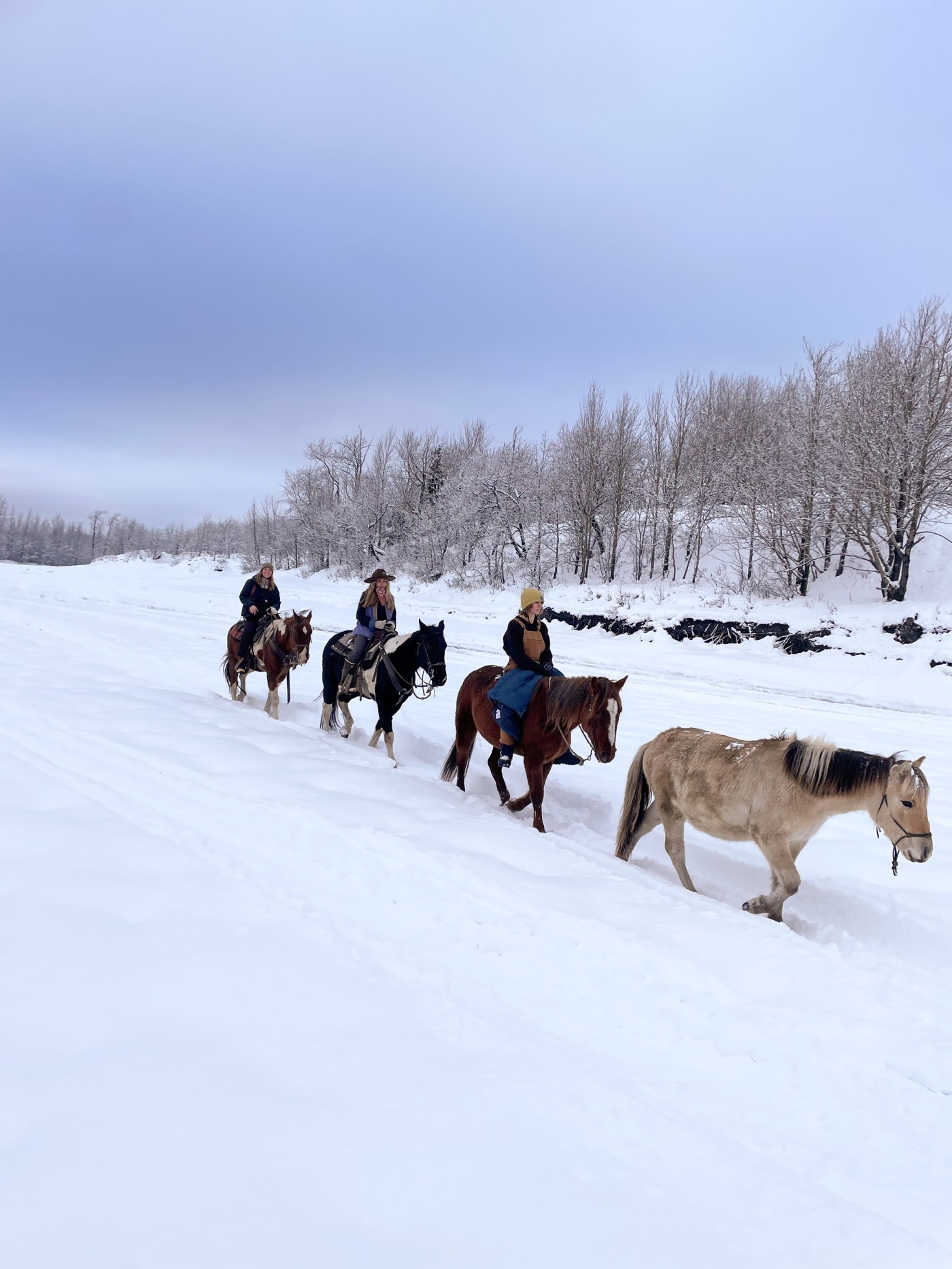 1.5 Hour Winter Trail Ride | Alaska Horse Adventures