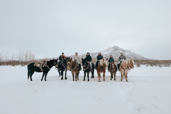 a group of people riding a horse in the snow
