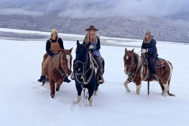 a group of people riding a horse in the snow